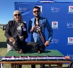 South Africa actor/actress Dog Show