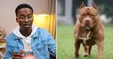 South Africa actor/actress Loyal Dog