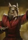 South Africa actor/actress Master Splinter