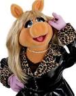 South Africa actor/actress Miss Piggy